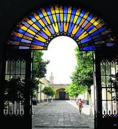 Artillería a vista de todos