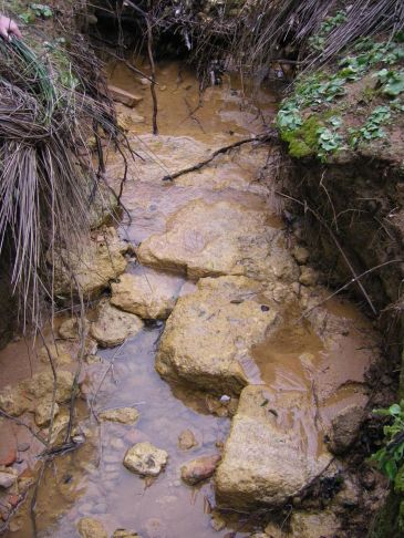 Descubren nuevos sillares en el entorno del yacimiento arqueológico de Gandul