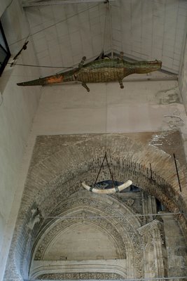 El lagarto de La Catedral