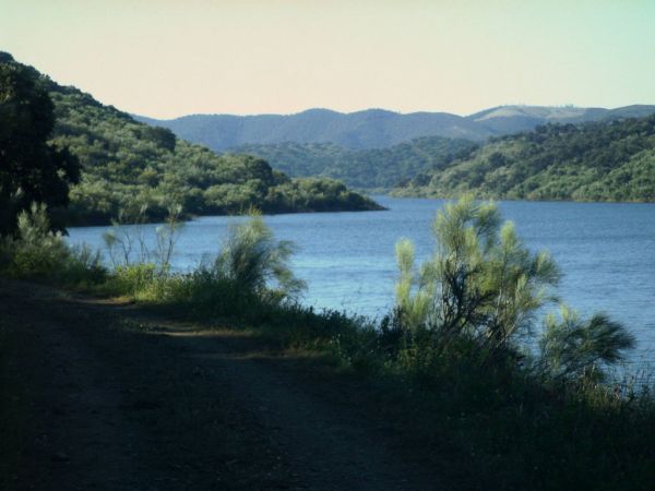 Los pantanos se encuentran al 92,42% de su capacidad, un 23% más que en 2009