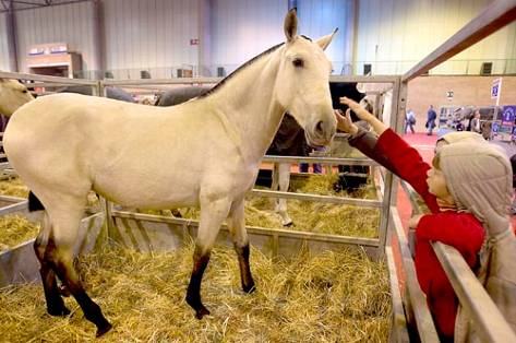 El Sicab roza su ecuador con la visita de 5000 escolares y los primeros famosos