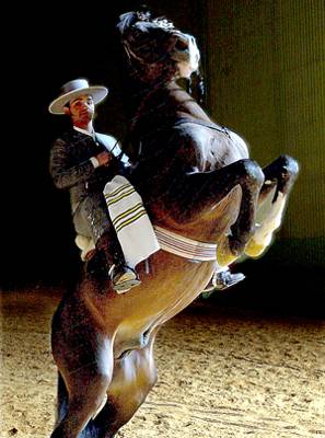 La Casa Real del caballo