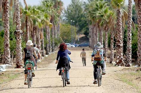 Peatones, ciclistas y patinadores participan en la II Ciclovida, entre la Florida y el Prado