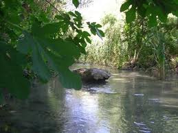 El Guadalquivir ‘respirará’ en 2015