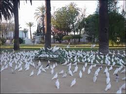 Dar de comer a animales en la calle se multará con 500 euros