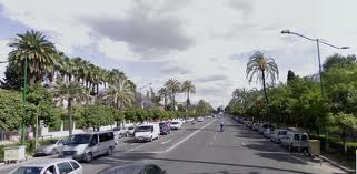 Un tramo de la avenida de la Palmera será de sentido único durante una semana