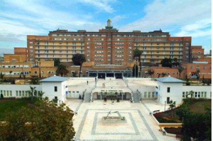 El Hospital Universitario Virgen del Rocío, premiado por la Sociedad Española de Alergología e Inmunología Clínica