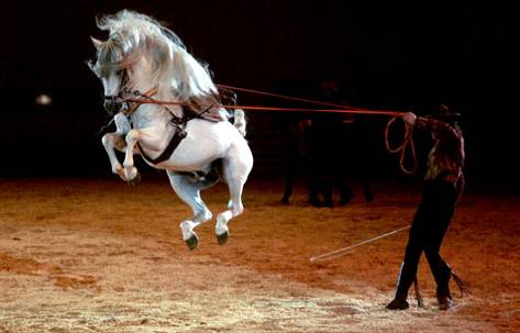 La semana del caballo