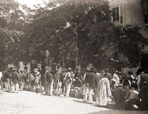 La fauna dominical de la Alfalfa