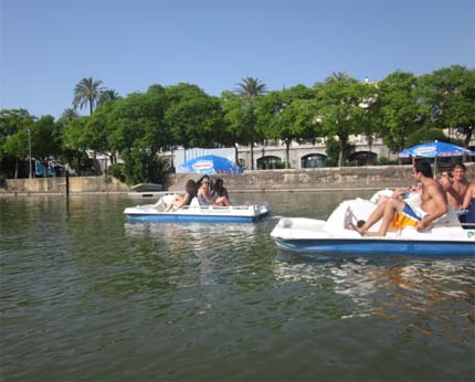 La quimera de Rojas Marcos