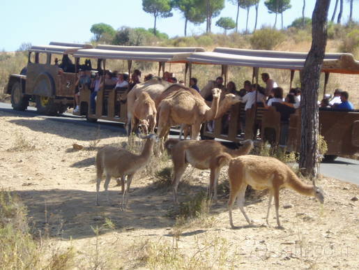 Una selva a tiro de piedra