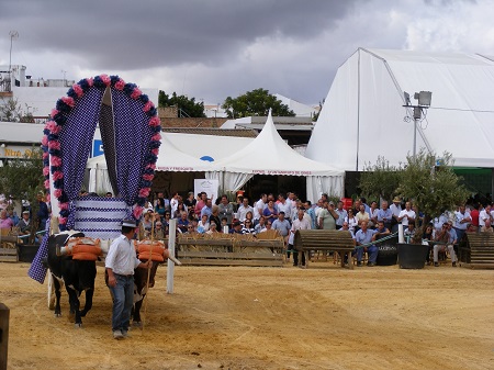 Una ‘pará’ en Gines