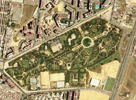 El desarrollo de Amate